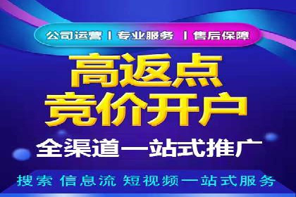 某行业SEM主管的优化策略与成果展示